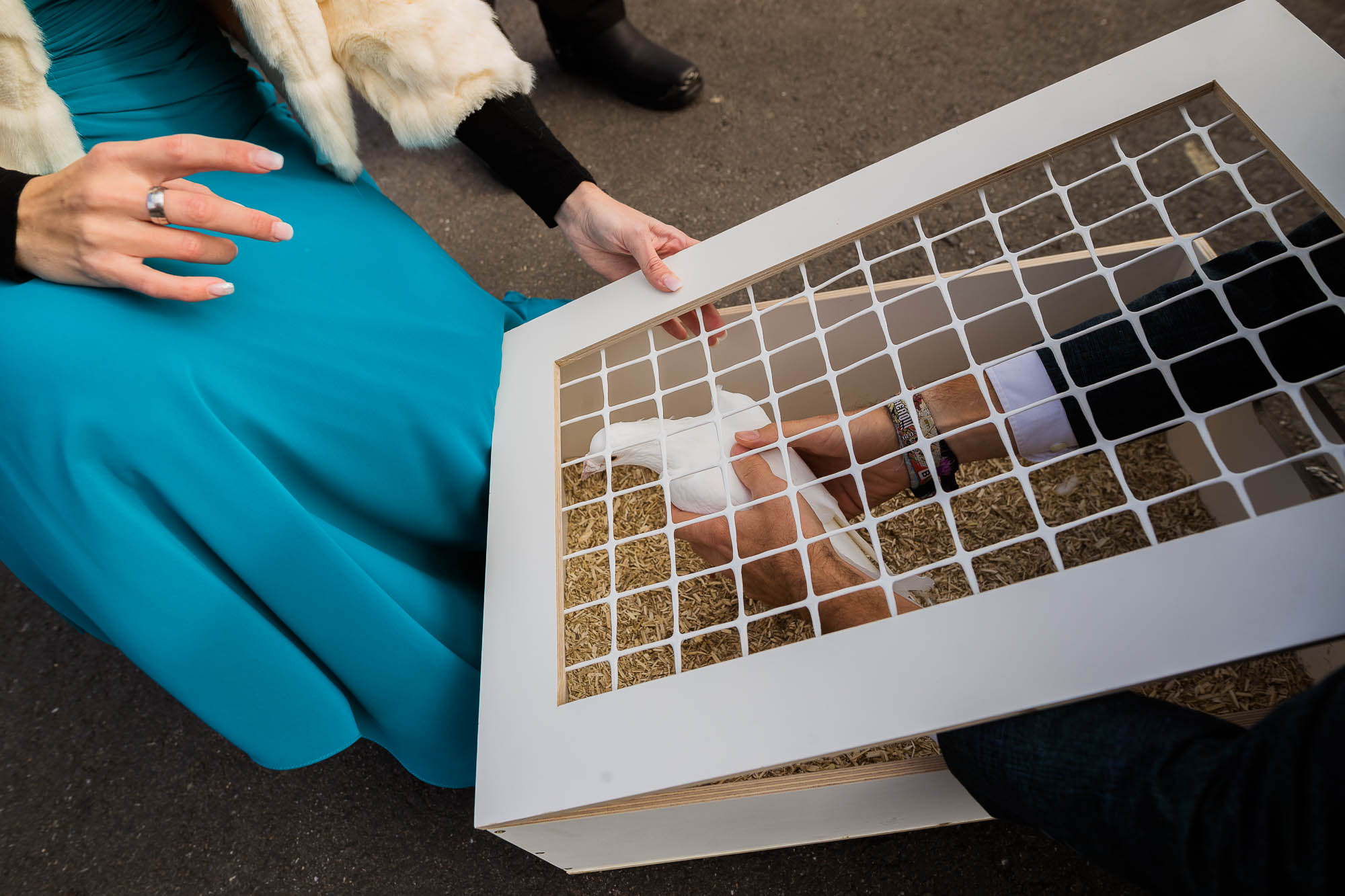 Export x3 1DX28924 Hochzeit 2020 Claudia & Thomas